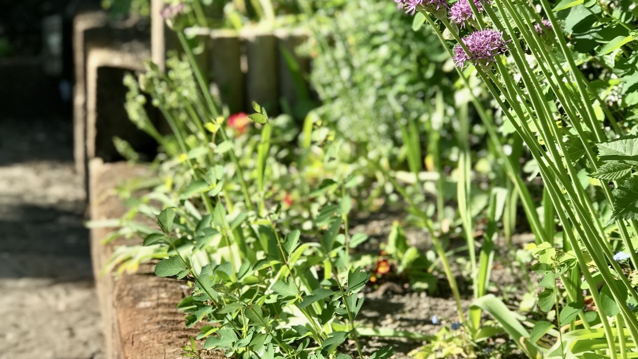 Photo of Outdoor in Clun