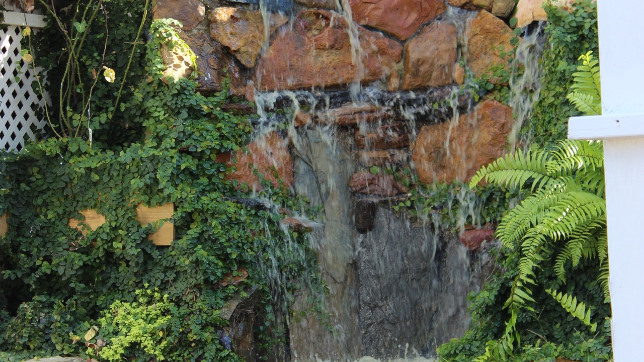 Photo of Outdoor in Voth