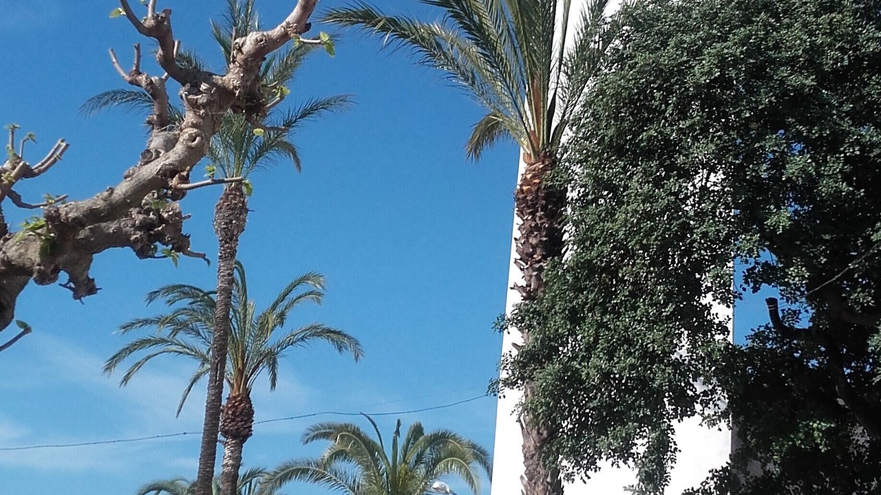 Photo of Outdoor in Poble Nou del Delta