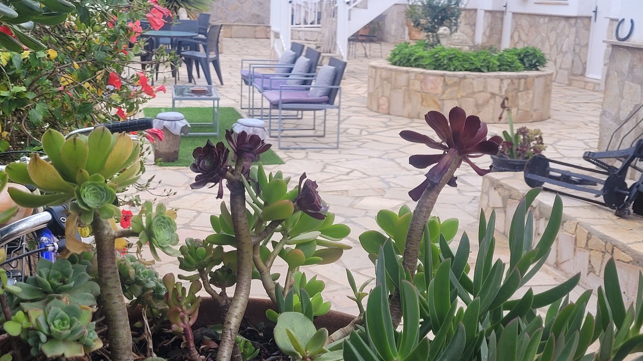 Photo of Patio Balcony in Poble Nou del Delta