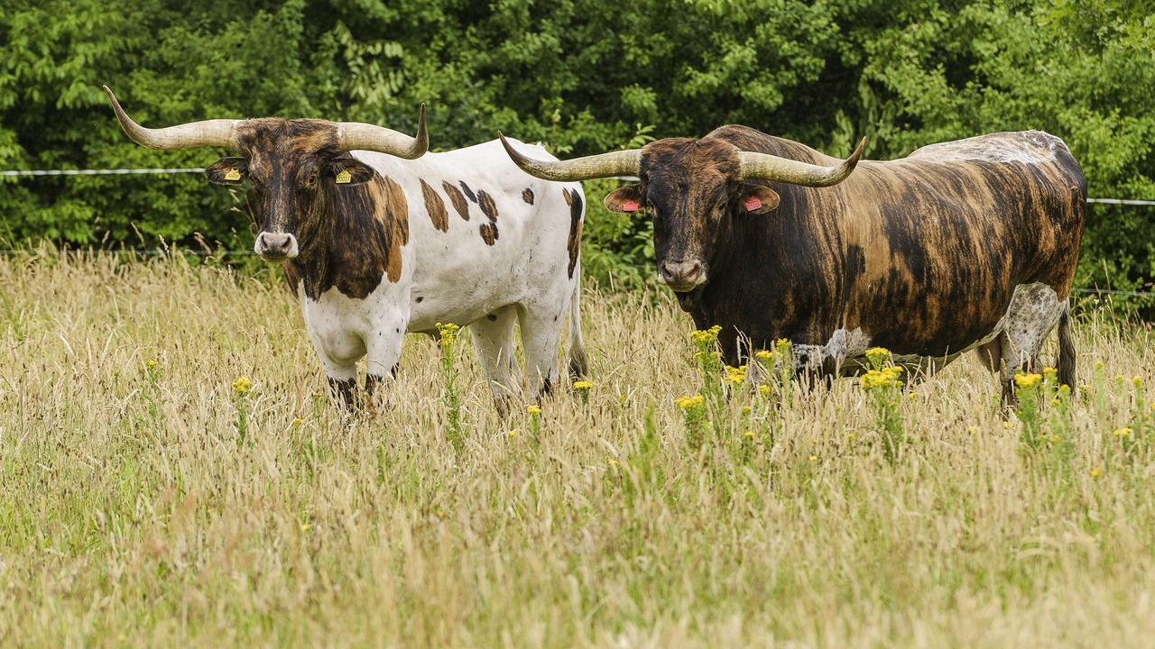 Photo of Outdoor in Tarm