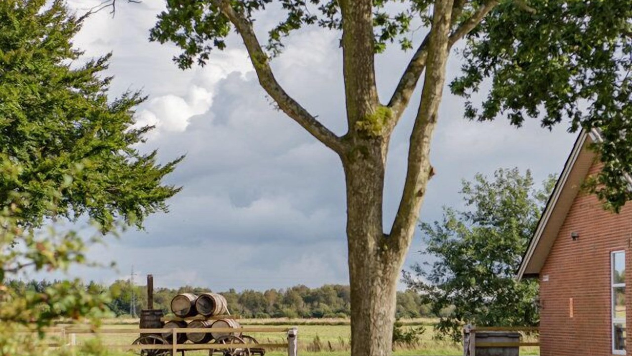 Photo of Outdoor in Tarm