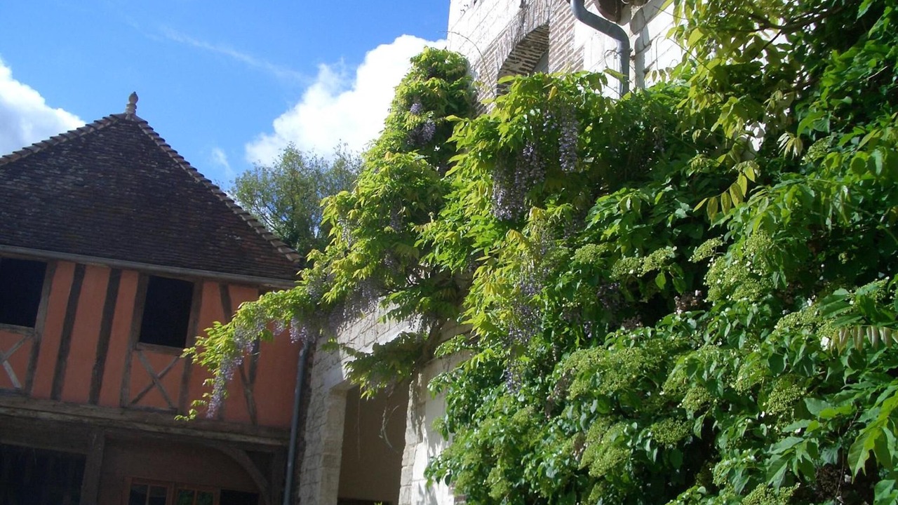 Photo of Outdoor in Bucey-en-Othe