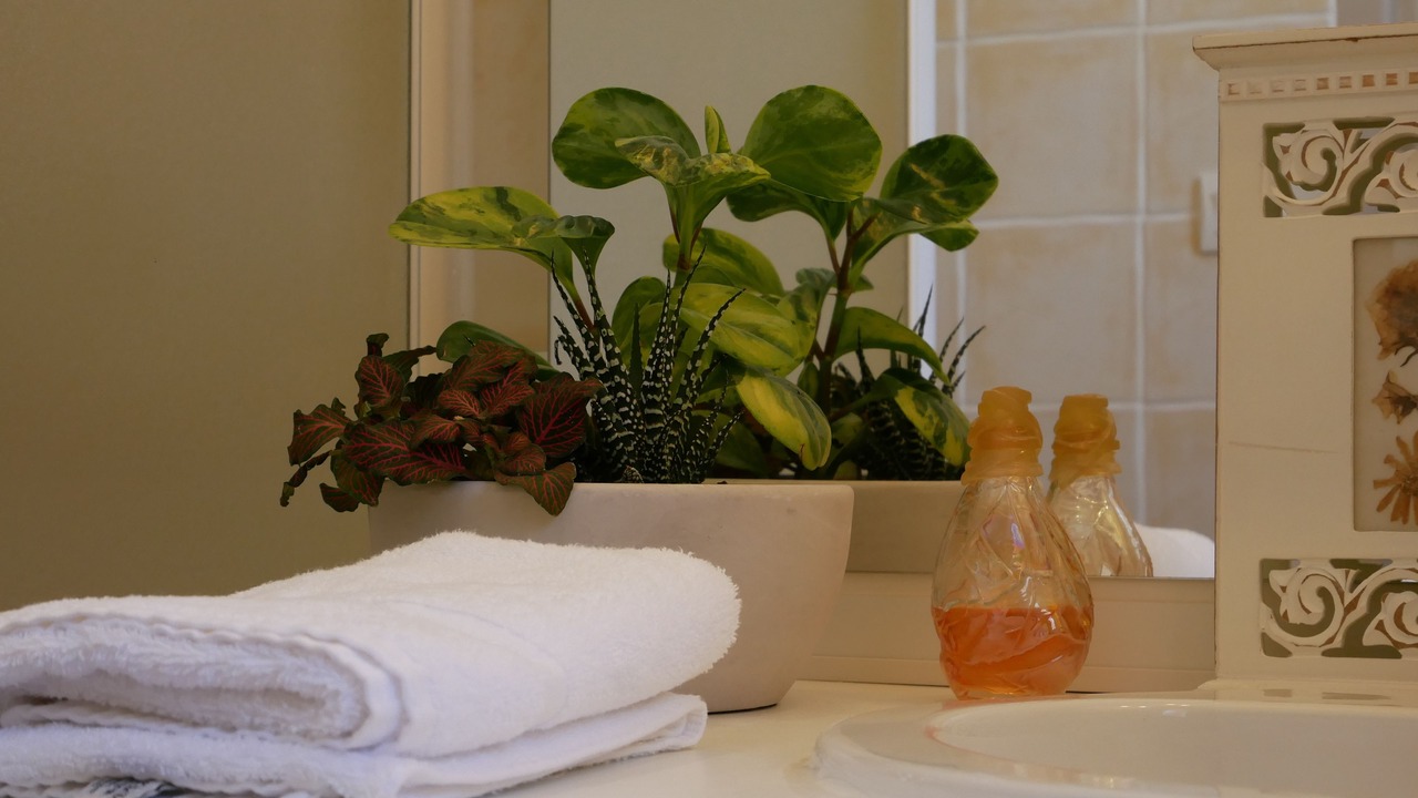 Photo of Bathroom in Roussillon
