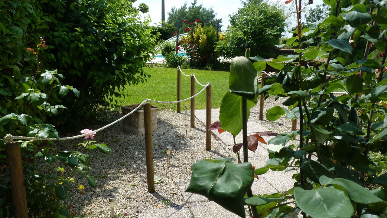 Photo of Outdoor in Saint-Laurent-des-Vignes
