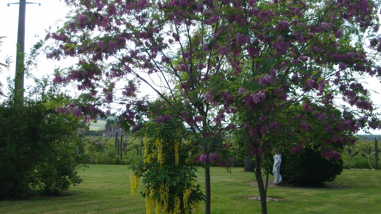 Photo of Outdoor in Saint-Laurent-des-Vignes