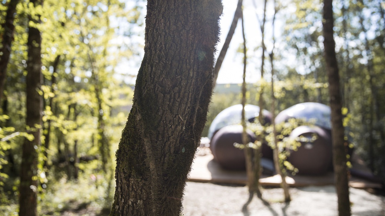 Photo of Outdoor in Nerac