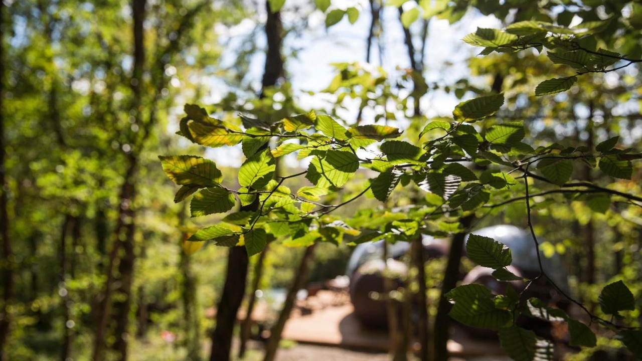 Photo of Outdoor in Nerac