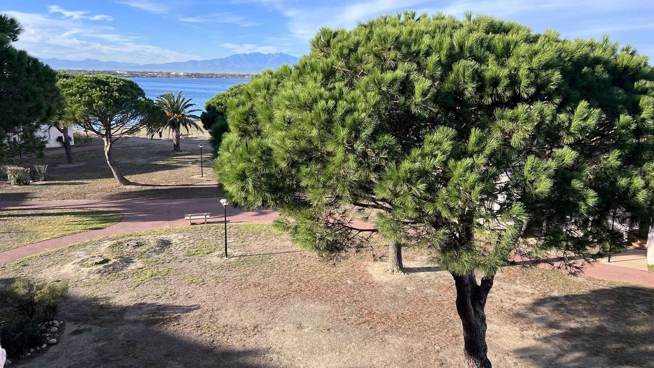 Photo of Outdoor in Le Barcares
