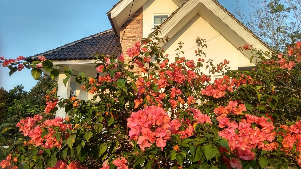 Photo of Outdoor in Ulu Tehel