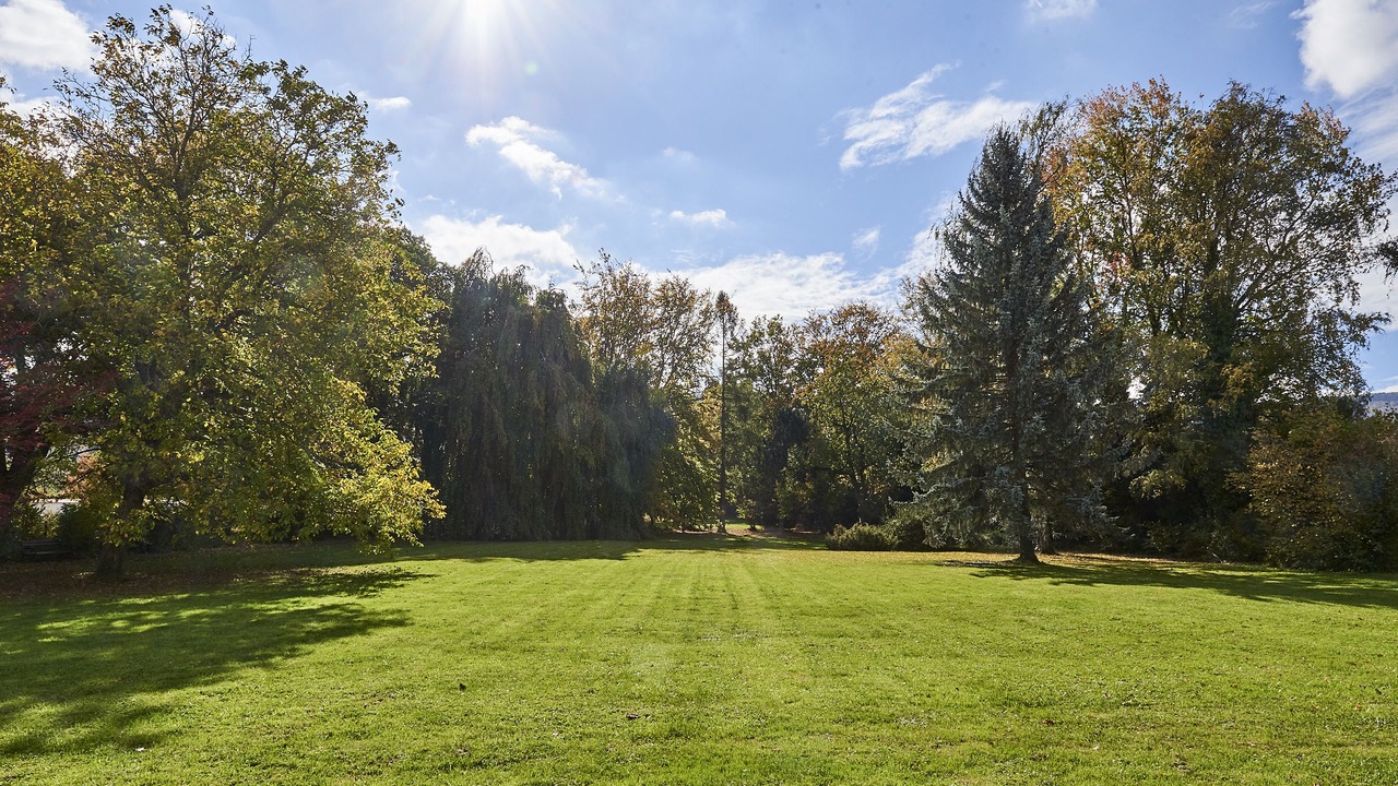 Photo of Outdoor in Metzerlen