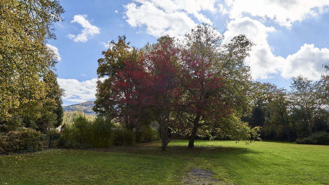 Photo of Outdoor in Metzerlen