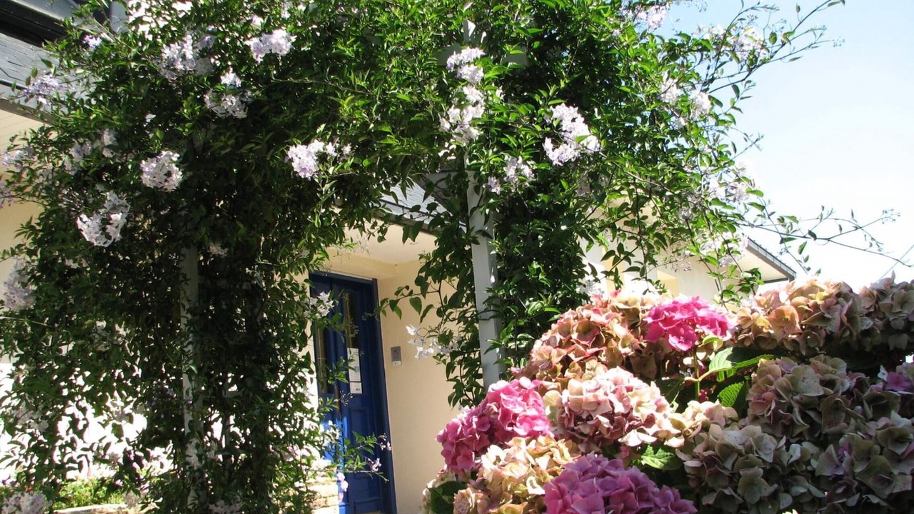 Photo of Outdoor in Locquirec