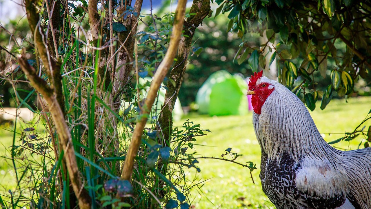 Photo of Outdoor in Mesquer