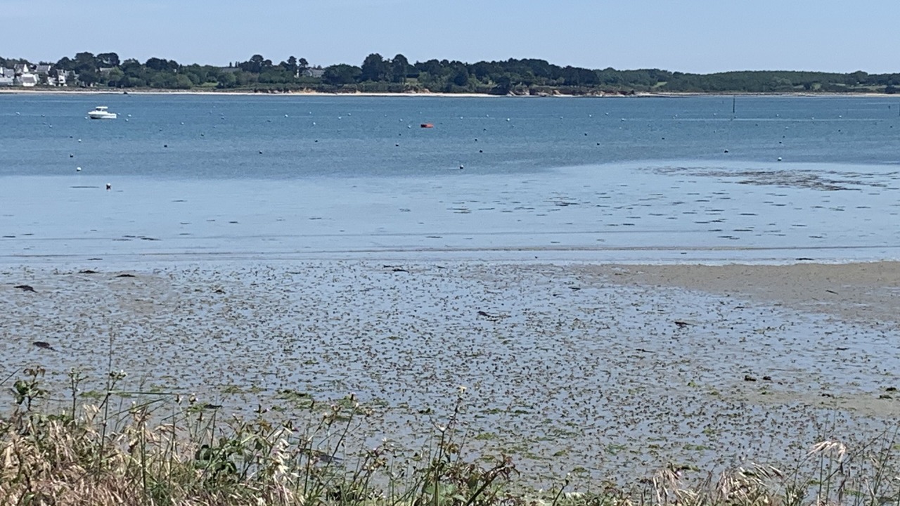 Photo of Outdoor in Mesquer