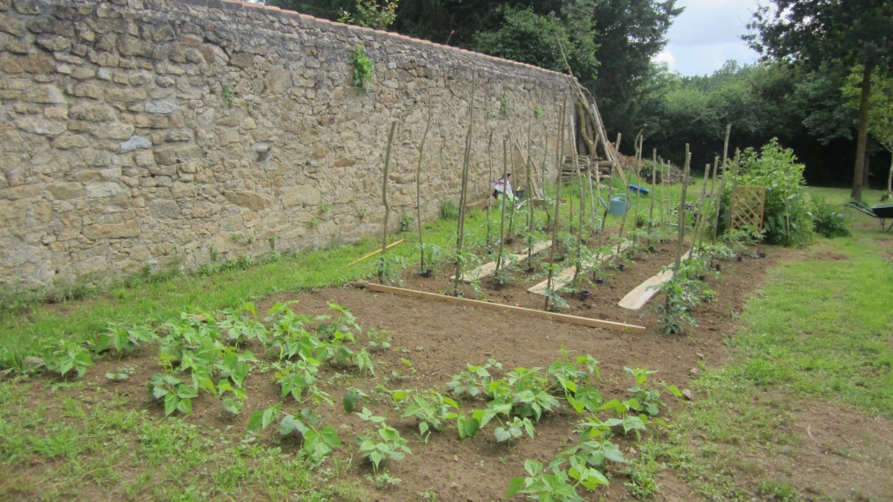 Photo of Outdoor in Bazoges-en-Paillers