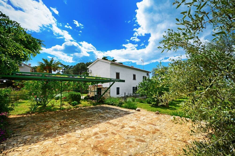 Photo of Outdoor in Baserinka