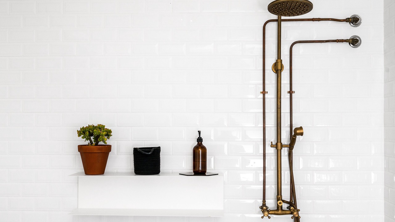 Photo of Others in Mullumbimby Creek