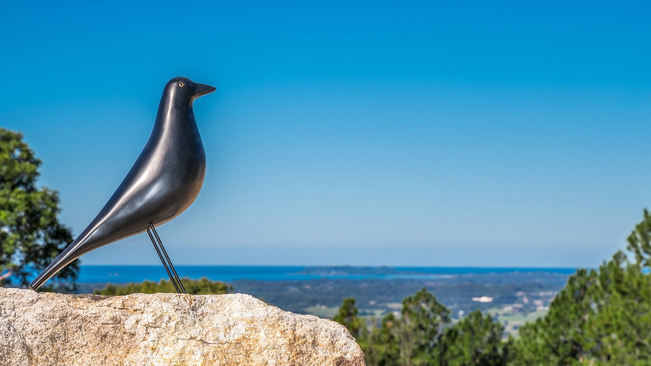 Photo of Others in Mullumbimby Creek