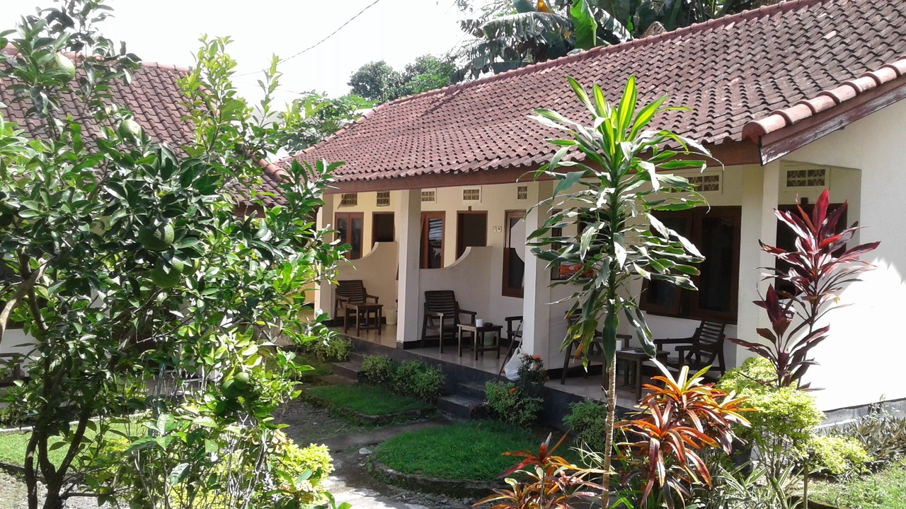 Photo of Outdoor in Senggigi