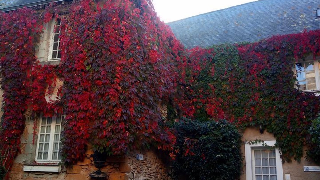 Photo of Outdoor in La Fleche