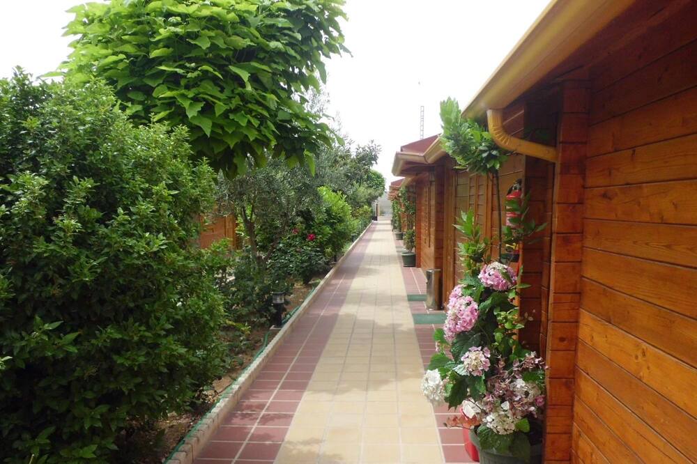 Photo of Outdoor in Tarancon