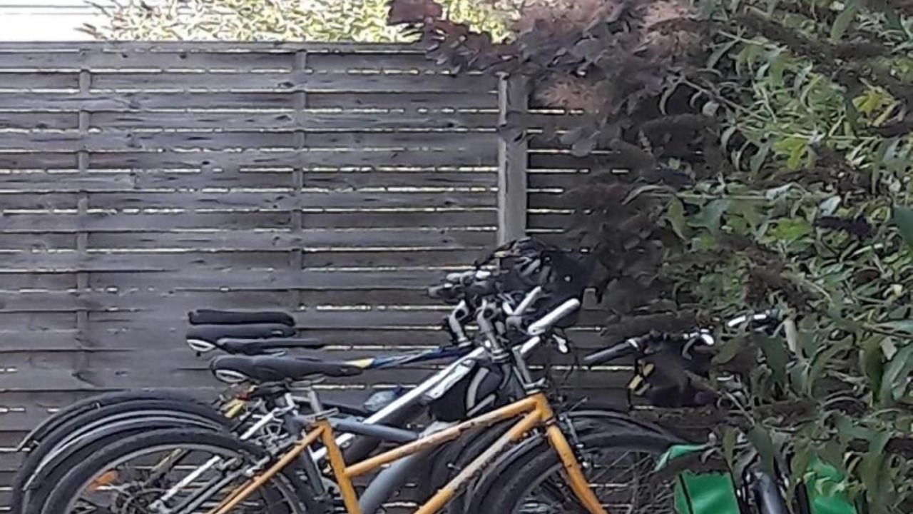 Photo of Outdoor in Beaumont-en-Veron