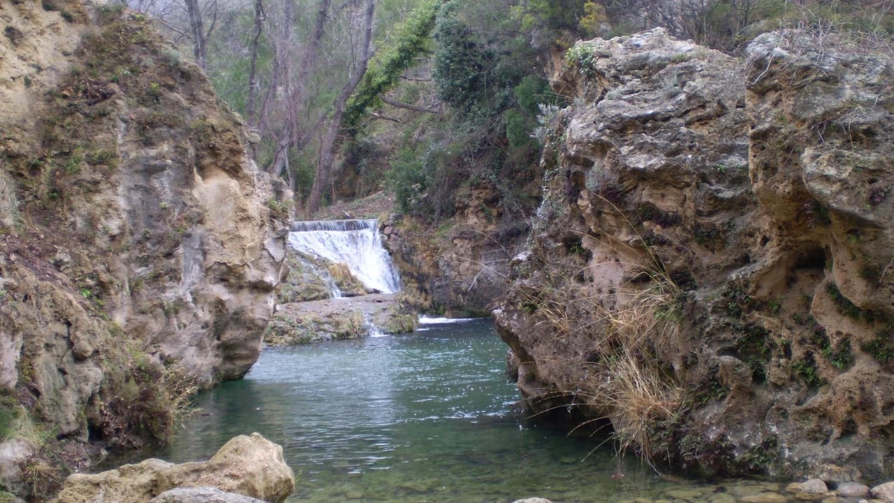 Photo of Others in La Senia
