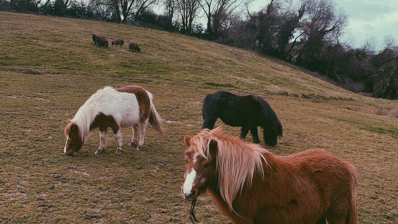 Photo of Outdoor in Vispieres