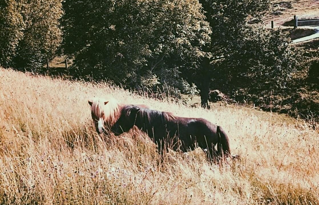 Photo of Outdoor in Vispieres