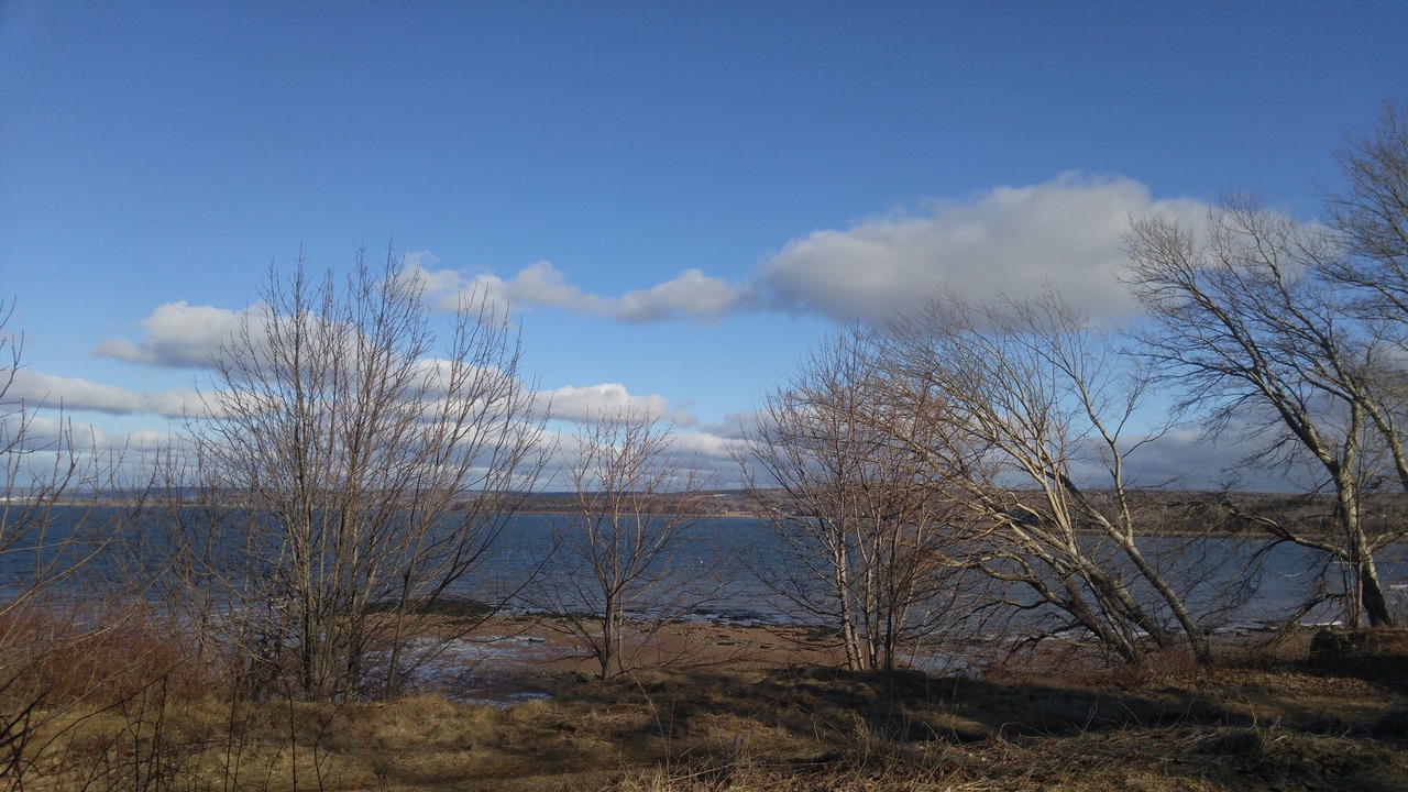 Photo of Others in Digby