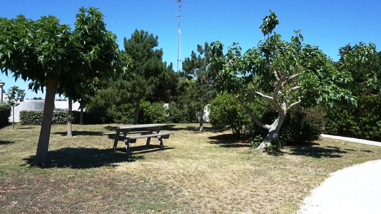 Photo of Outdoor in La Couarde-sur-Mer