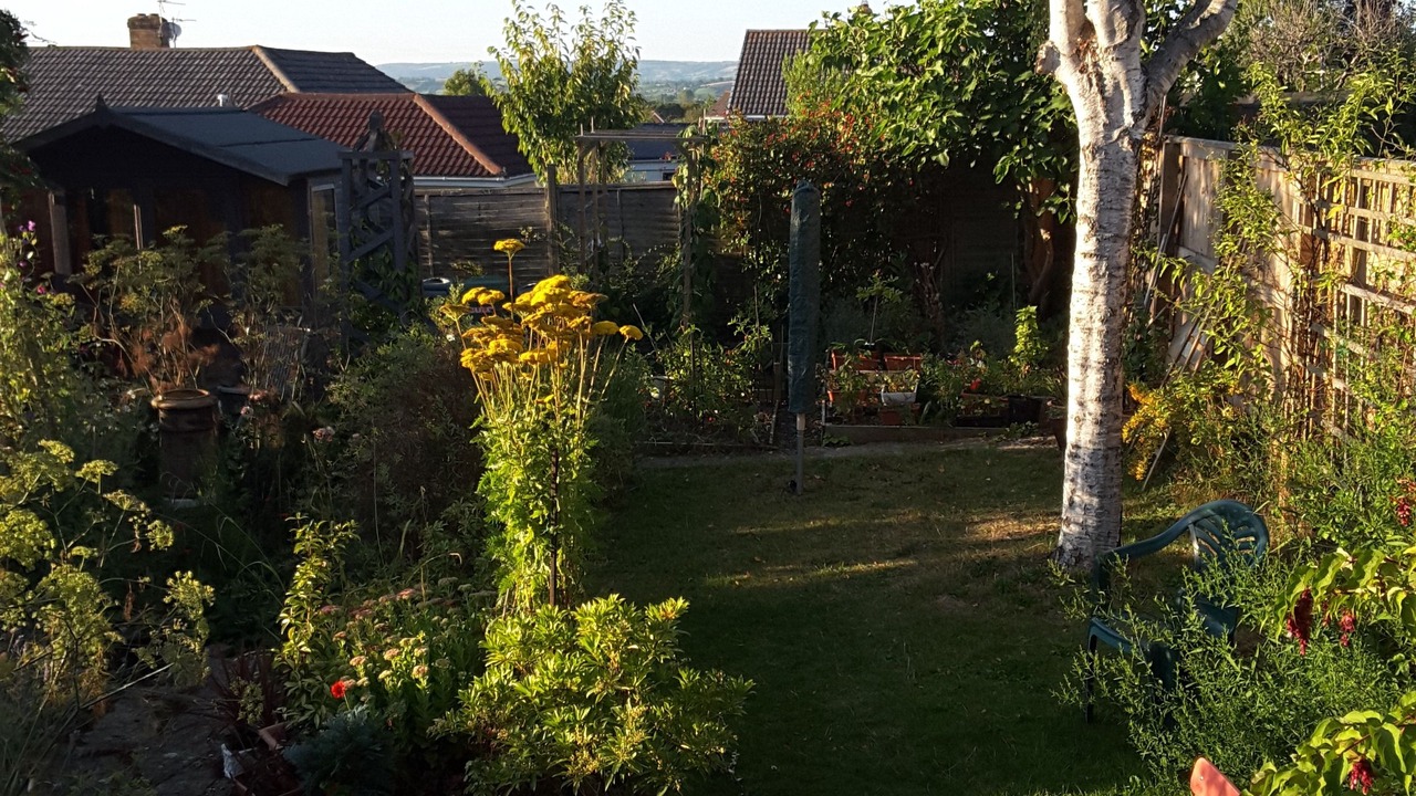 Photo of Outdoor in Glastonbury