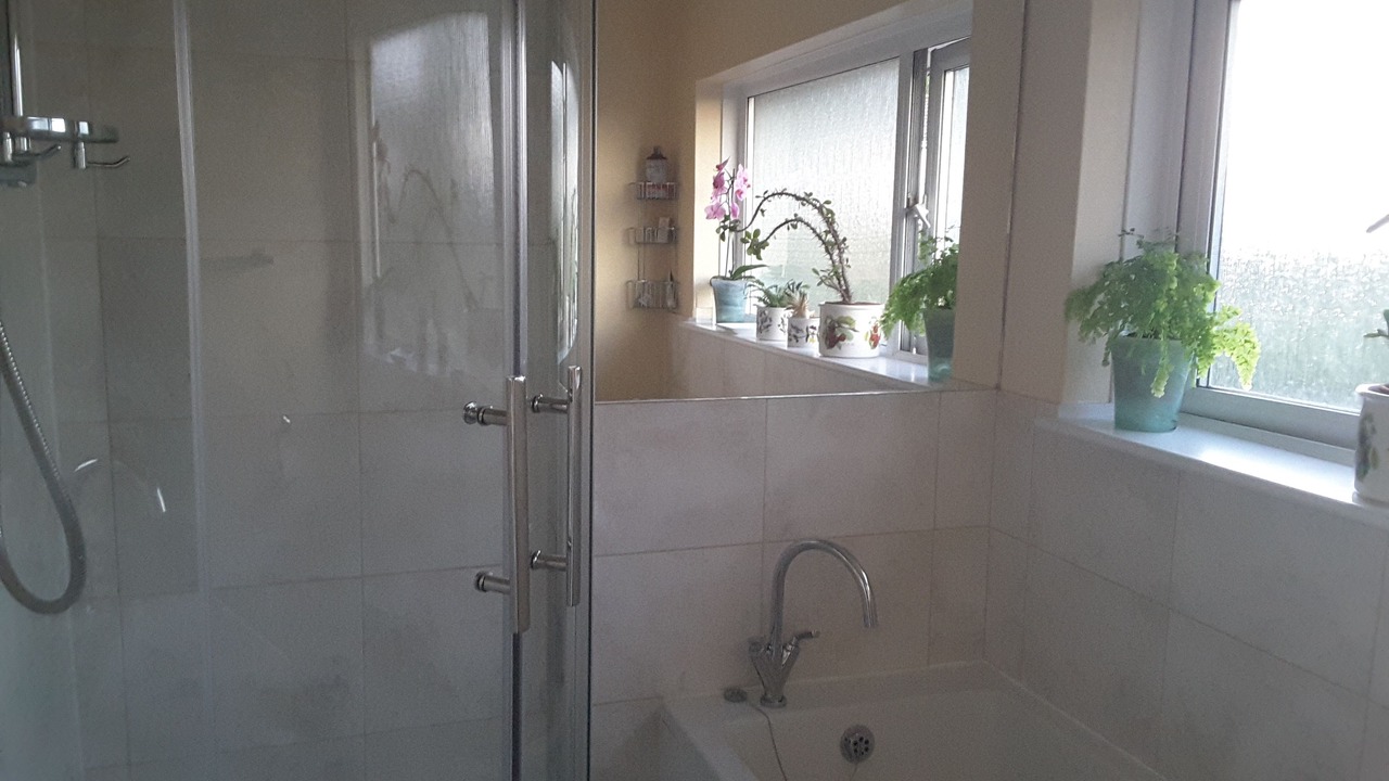 Photo of Others in Glastonbury