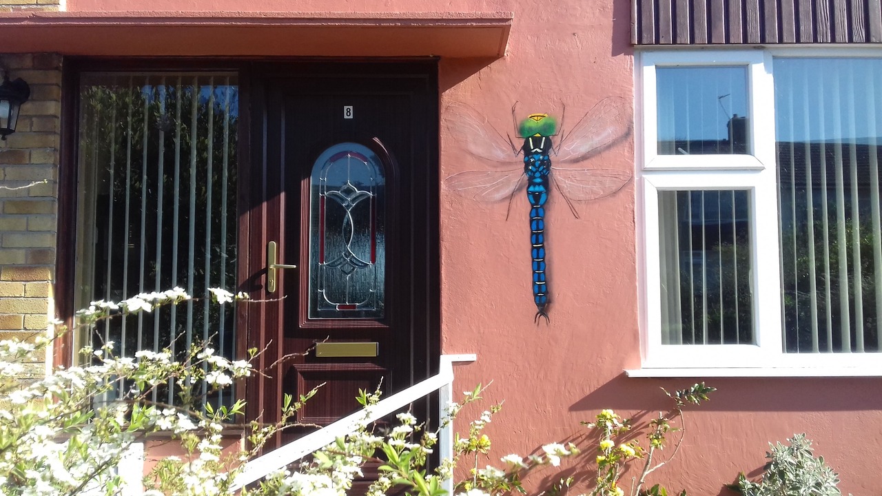 Photo of Outdoor in Glastonbury