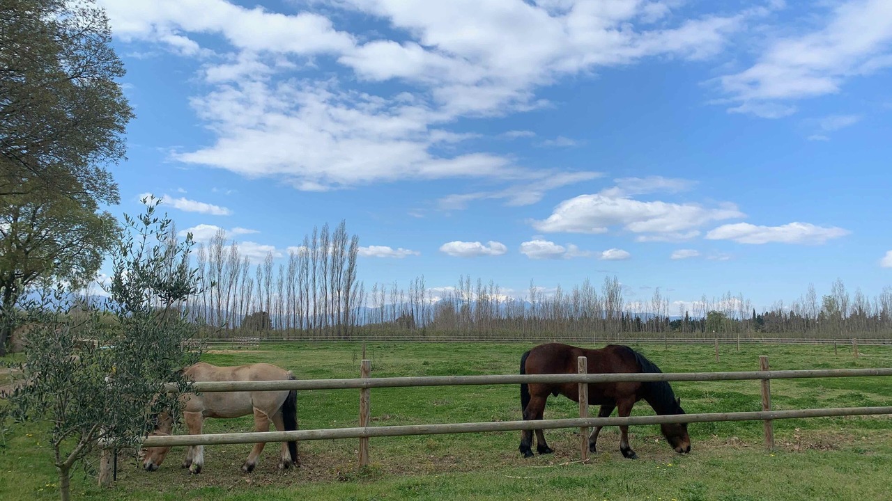 Photo of Others in Saint-Genis