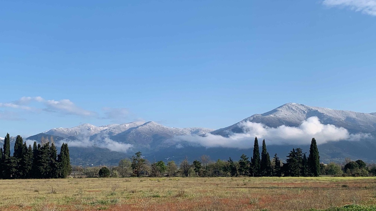 Photo of Others in Saint-Genis
