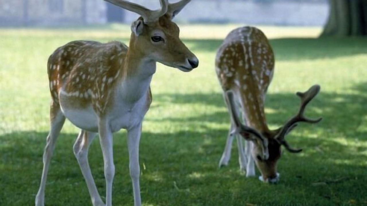 Photo of Others in Sevenoaks