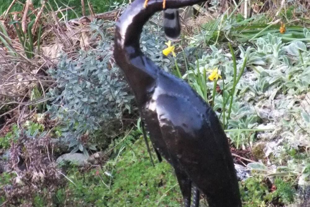 Photo of Outdoor in Eccleshall