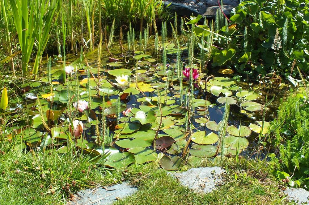 Photo of Others in Eccleshall