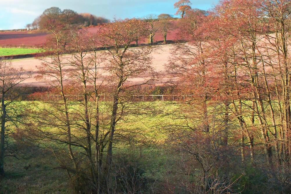 Photo of Others in Eccleshall