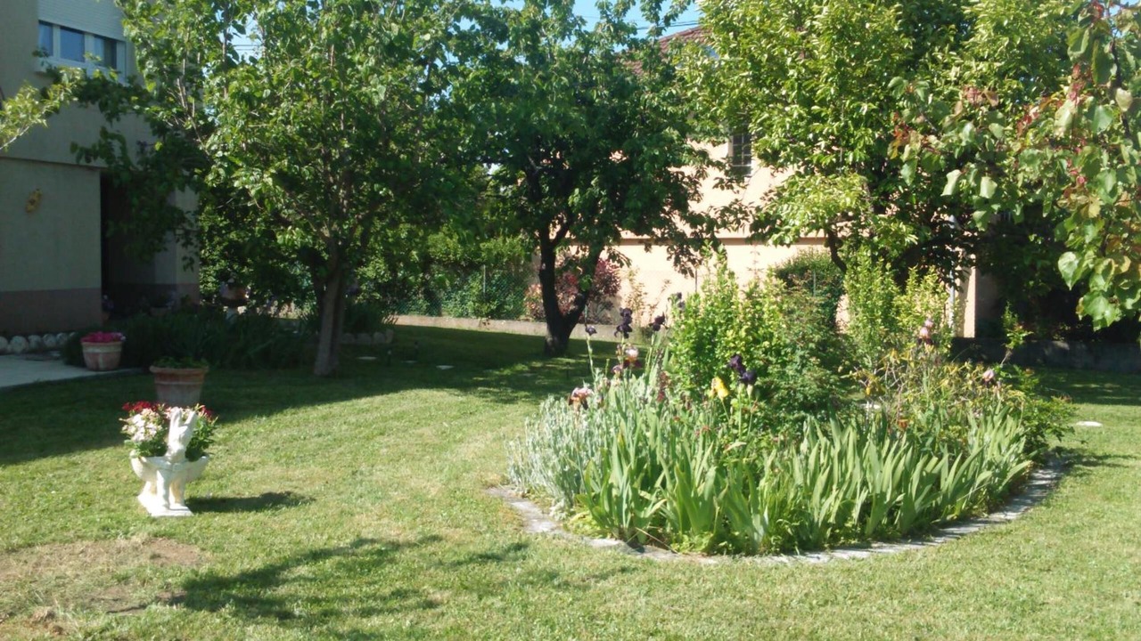 Photo of Outdoor in Chaponost