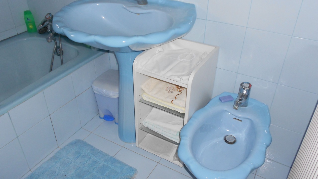 Photo of Bathroom in Chaponost