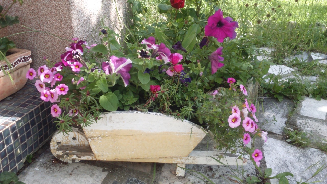 Photo of Outdoor in Chaponost