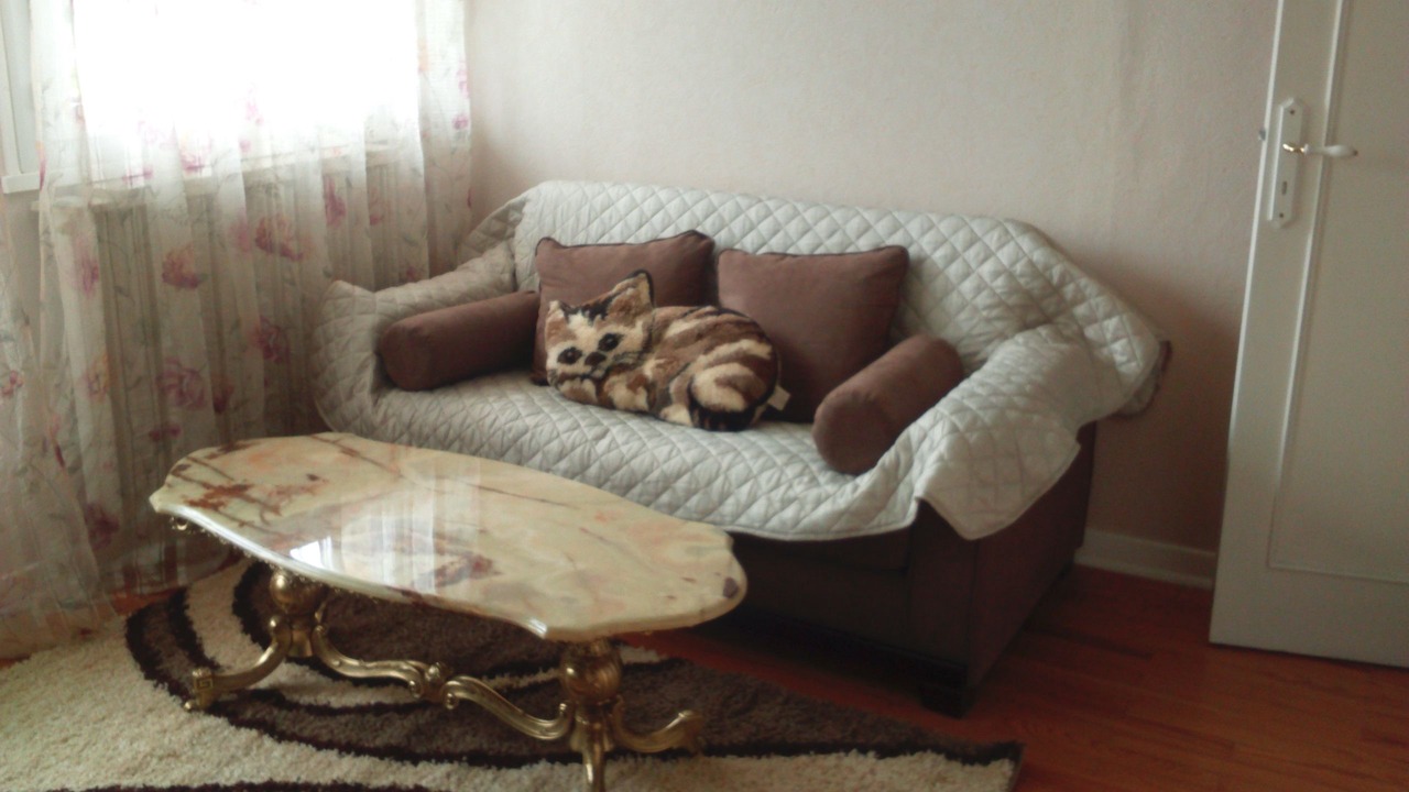 Photo of Others in Chaponost