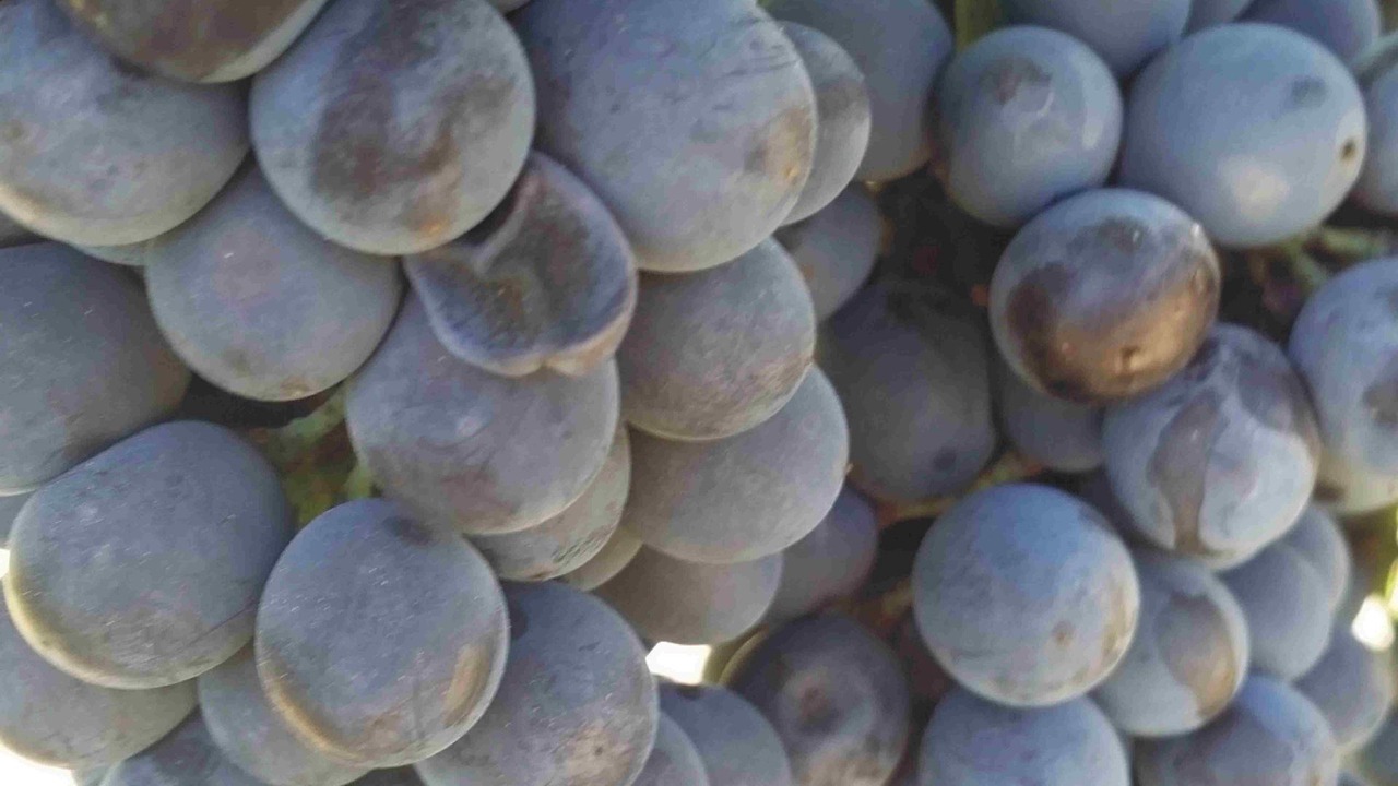 Photo of Others in Broke