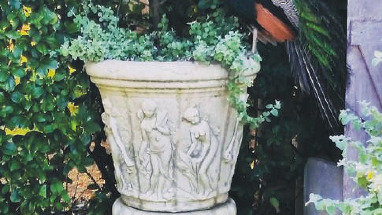 Photo of Outdoor in Broke