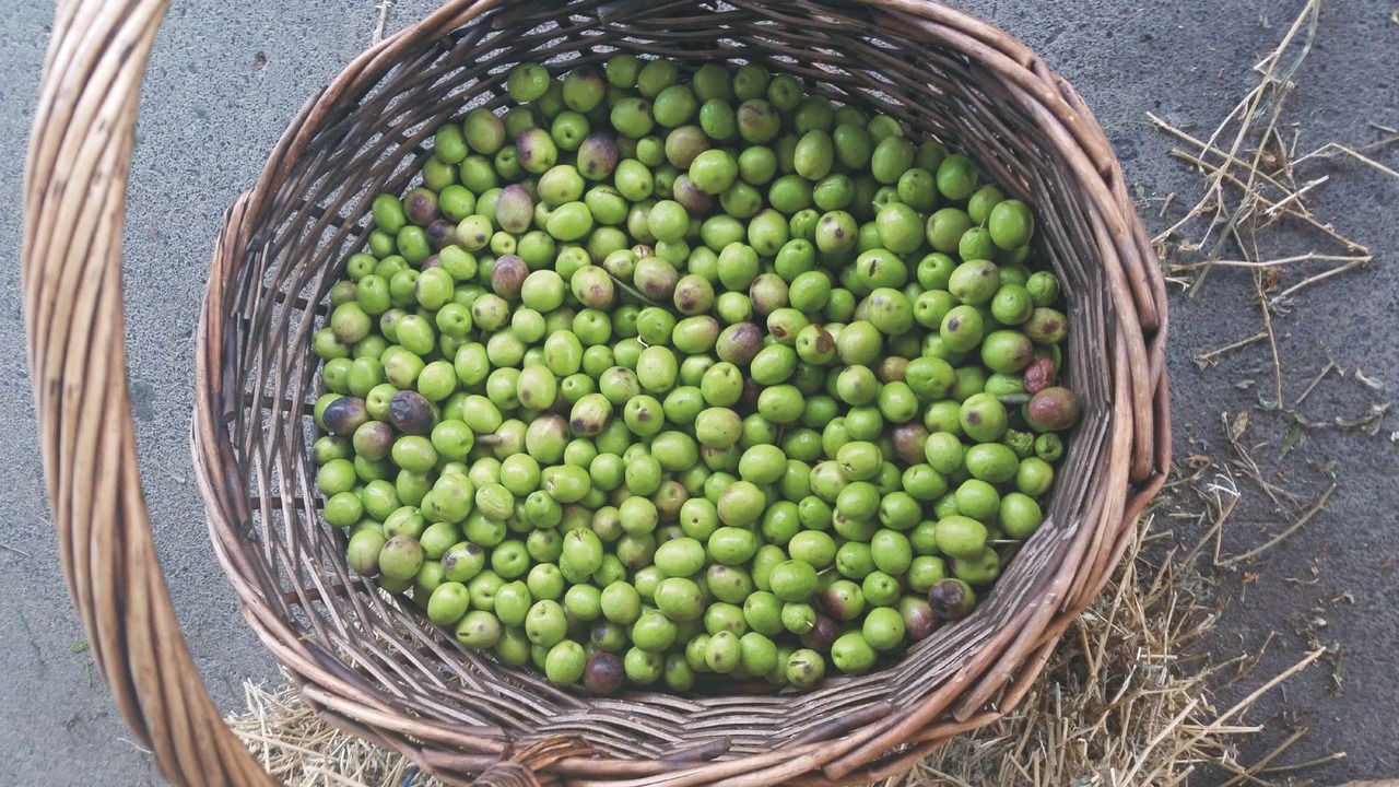 Photo of Others in Broke