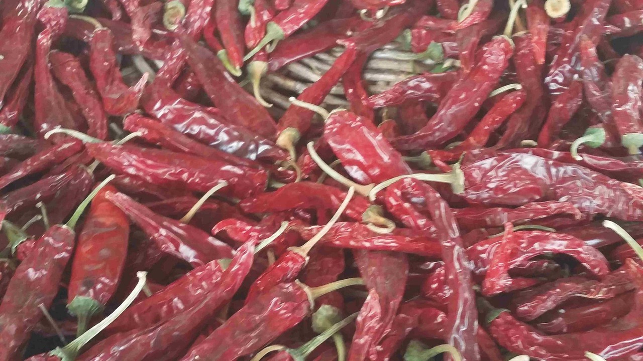 Photo of Others in Broke