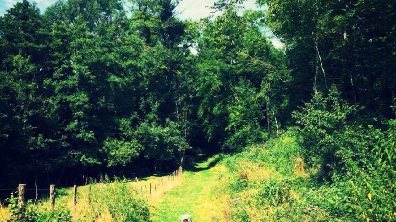 Photo of Outdoor in Montmorot